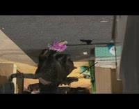 Cat plays with green bell toy 