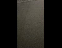 Snow and ice on sidewalk sparkle flash 