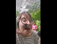 Black butterfly gets stuck to my face