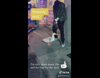 Guy dances with duck on sidewalk