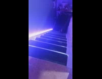 Lady Plays Fetch with Cat on Stairs