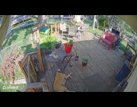 Dog collar stuck on table wrecks backyard