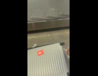 Collab Clips MPUGC - Giant grey goose bottle luggage 