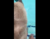 Collab BitchMP - Cat floats in pool water