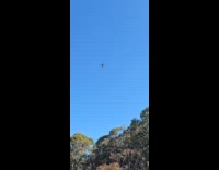 Collab IITW - Group lie down drone shot at park