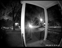 Raccoon steal food bag on porch footage