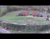 Dog trips while climbing stairs