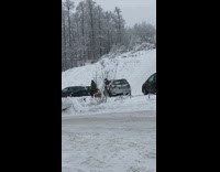 Little kid getting pulled in sleigh falls out