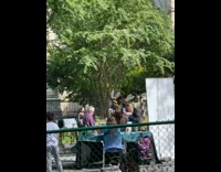 Two people dressed as rabbits dancing