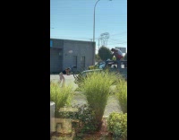 Man poses on top of jeep truck