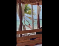 Woman in bikini lie down on the slanted palm tree
