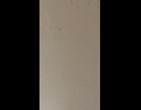 Cat peeks at owner and runs closer then runs away