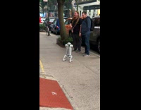 Collab winy - Two guys talk with owner of robot dog