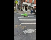 person crawling on street floor green caterpillar