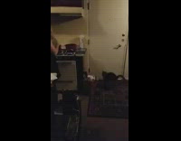 Cat jumps bumps into closed door fail