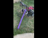 Dog carries purple pool noodle in mouth