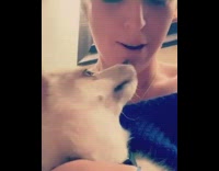 Small white husky dog howls in happiness 