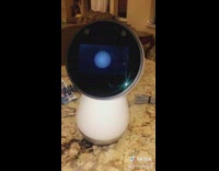 Jibo robot dance twerk 