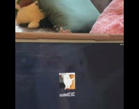 White cat bites chews brown tablet case