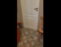 Cats on cabinet waits excitedly for food