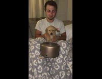 Collab BitchMP - Guy has puppy hit and bang pot