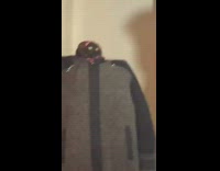 Guy shows gorgeous girlfriend cat in coat