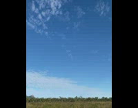 A mini airplane zooms fast through the sky 