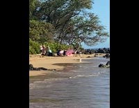 Photo crew holds and flaps long pink dress on beach 