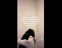 Collab dogIG_default - Brothers of dog also adopted by owner