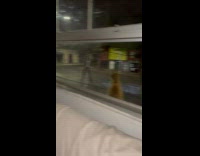 Cat sitting on ledge outside window