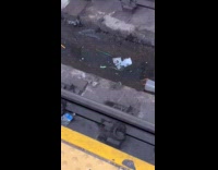 Cash on the dirty puddle at subway