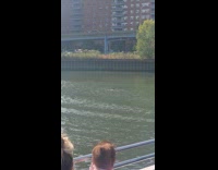 Collab WINY - Submitter on ferry shows person swimming on river 