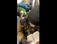 Cat in leather vest green bandana stand on guys shoulder on subway train