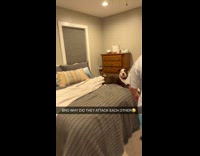 Collab Clips MPUGC2 - Dog play fight lets out scary growl 