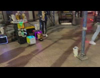 Man play saxophone with dancing animatronic animals