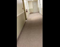 Woman calls dog runs at apartment hallway