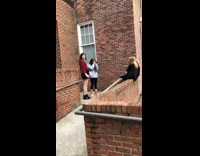 Rose petals thrown in air for photo