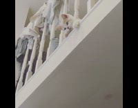 Brown white cat head through stairs bannister 