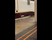 Fire at the subway in new york and man talks 