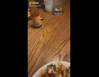 Taco belll cinnamon twist joke giveaway 