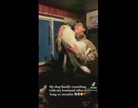 Dog excitedly greets military owner back from active duty