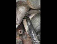 Guy uses Asian accent audio while trying to take out bolt 