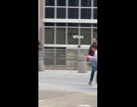 Three dogs sit on top of the stone barrier