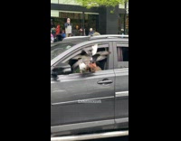 Collab WINY - Old man in car handfeed some birds