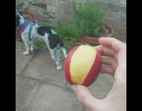 Person hold apple with light colored stripe