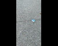 Water bottle seal rolls on the ground