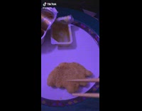 Guy has giant 2 piece dino nugget 