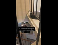 Woman testing roomba on 2nd floor
