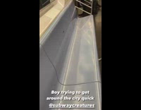 Cockroach on blue subway seat