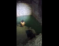 Guys swims under the cave at night
